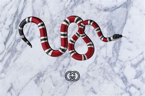 gucci snakes genius|gucci snake news.